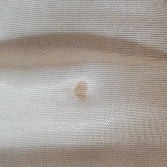 Authentic Starter Jacket - Picture 12 of 14